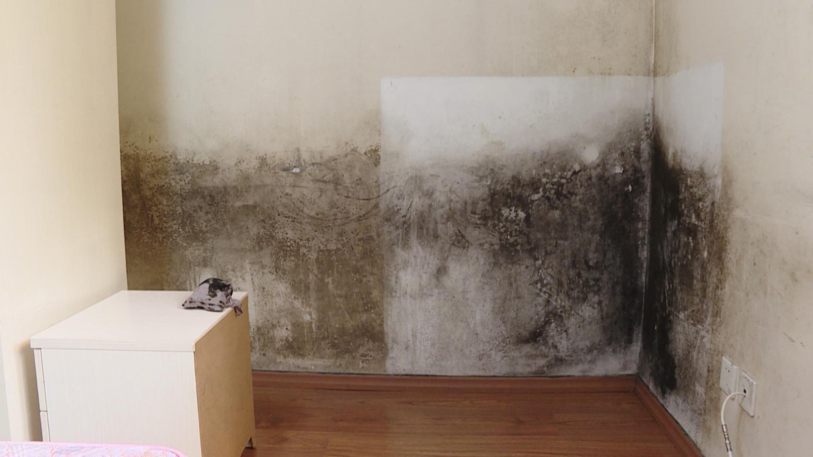 卧室半面墙都是黑霉菌 屋内没有漏水霉从何来？