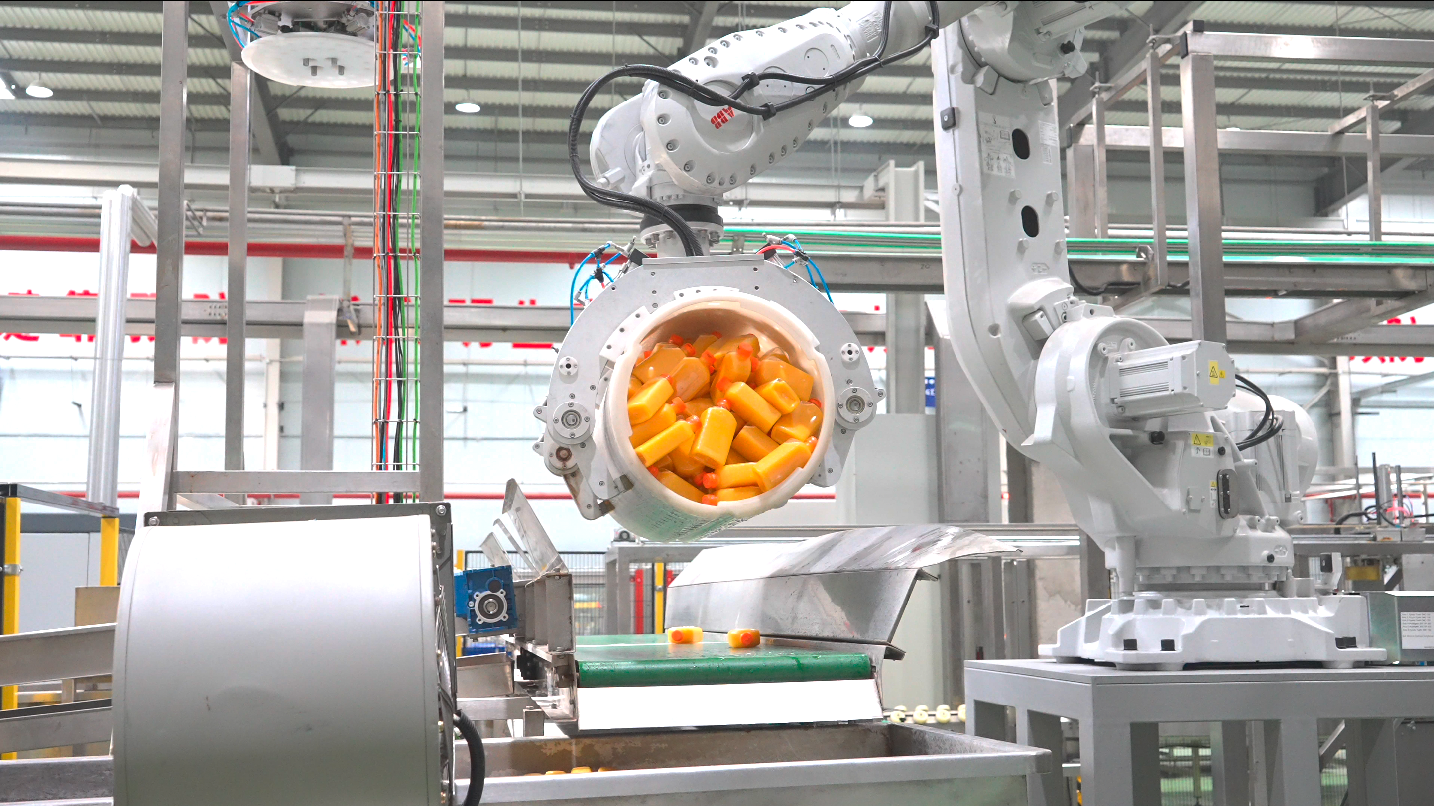 “桔”缘千里：一颗蜜桔的北上新生