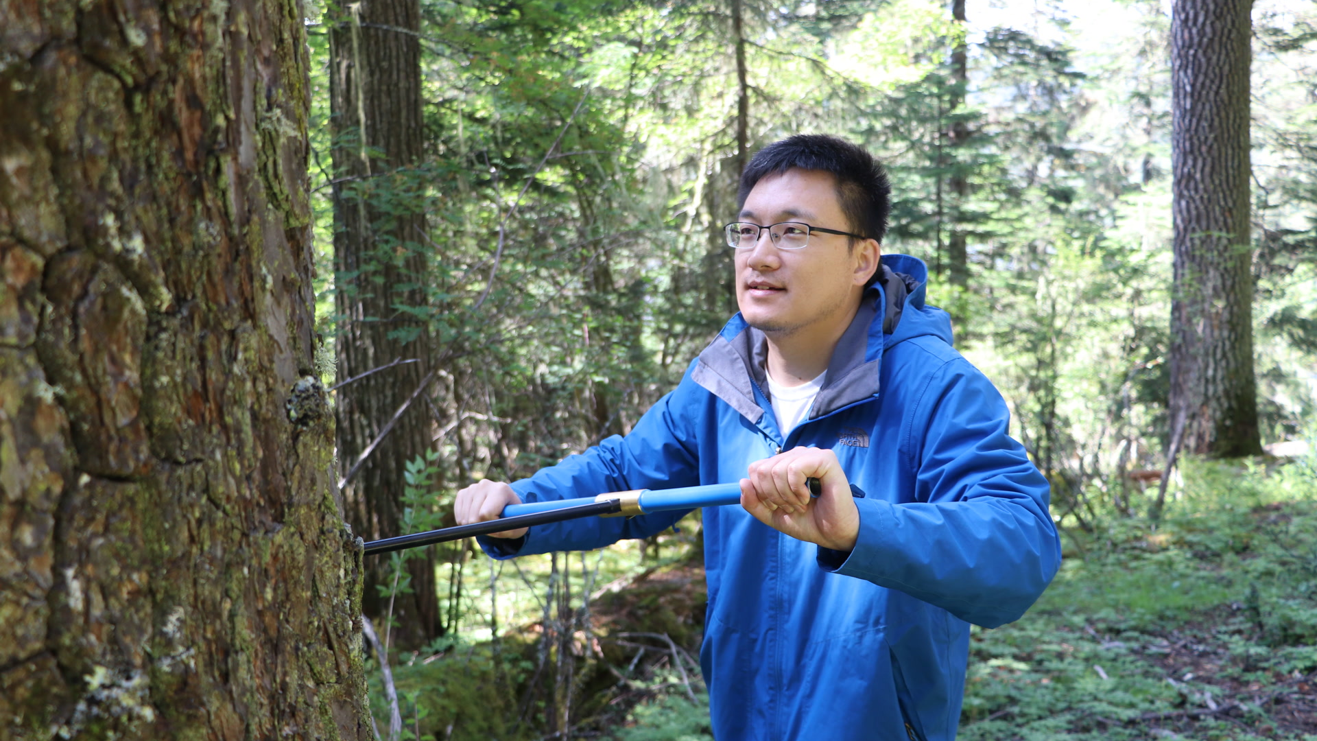 清代修缮故宫，古木来自“关外”？答案找到了——