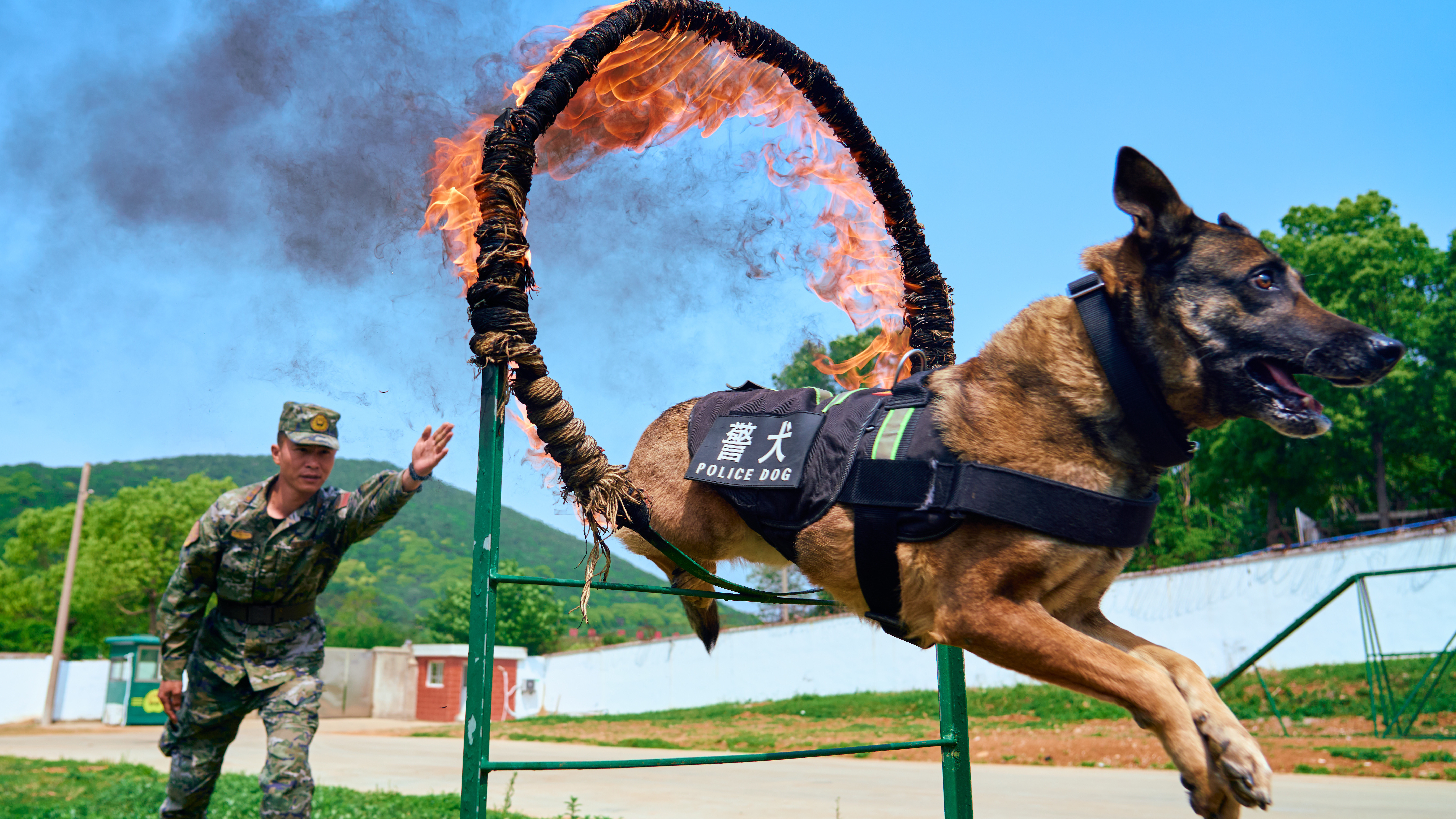 有一种坚守，叫“战位有我”