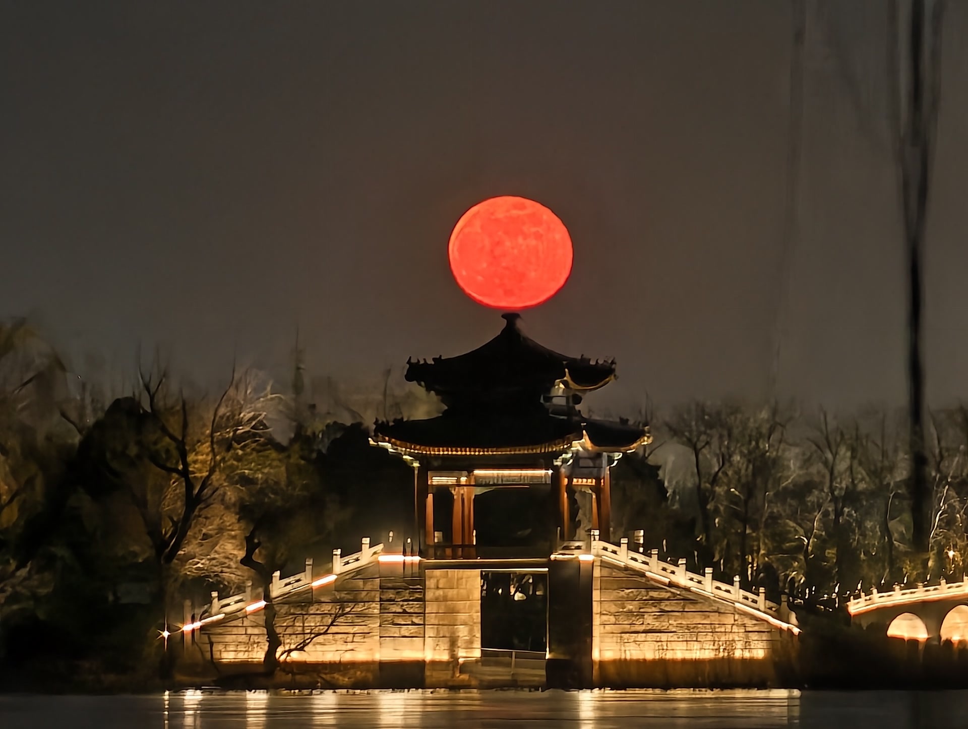 月上树梢头！晴朗夜空，再见“超级月亮”