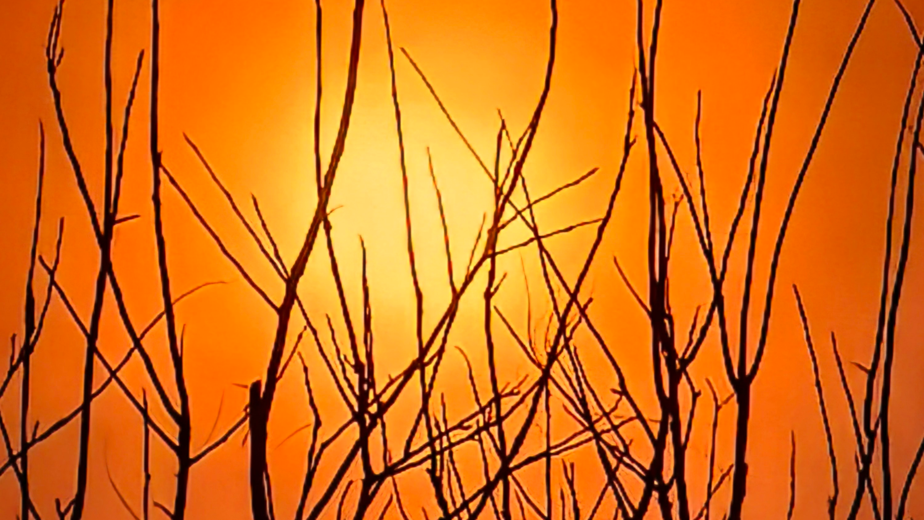 周六傍晚，镜头定格温暖黄昏