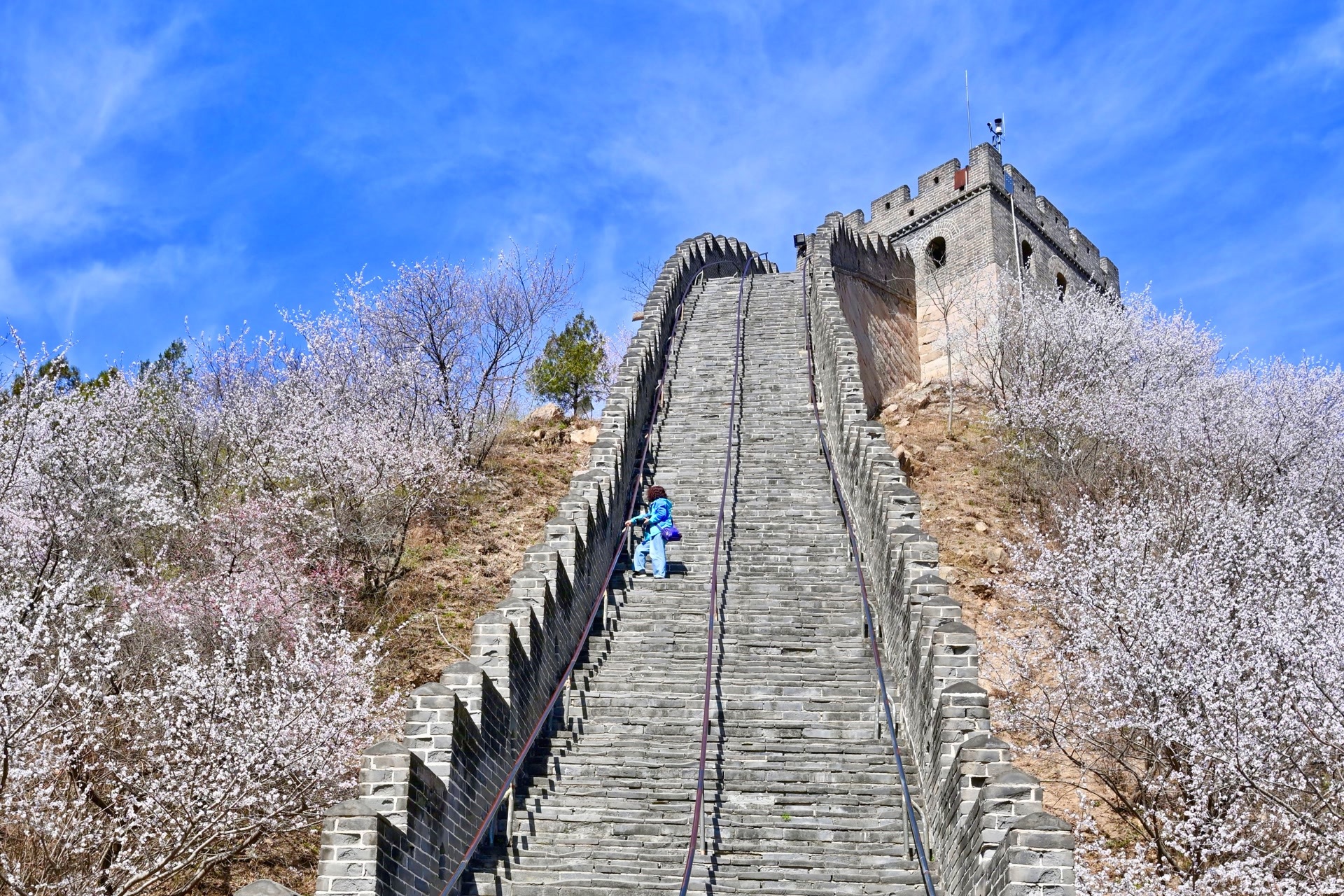 春游有了新“花”样,延庆“长城醒山季”来了 春游有了新“花”样,延庆“长城醒山季”来了