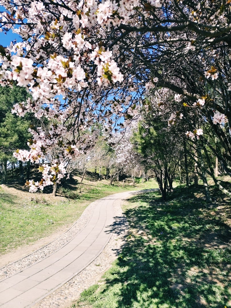 4月第一天，解锁北京那些精致的“宝藏美景”