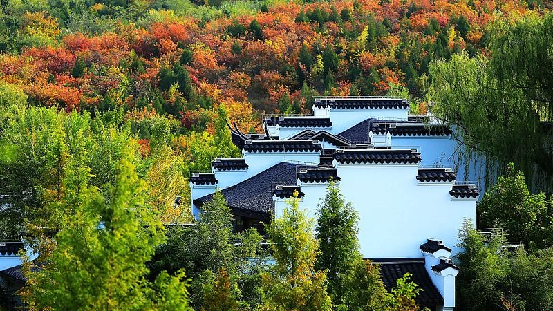 重阳节去哪登高?别错过这秋季十大最美“至高点” 重阳节去哪登高?别错过这秋季十大最美“至高点”