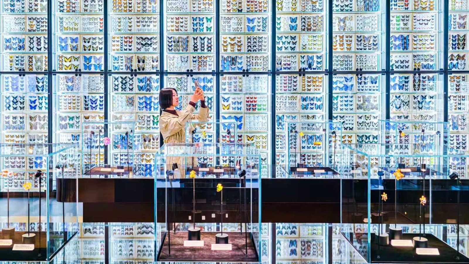 多彩昆虫王国等您来探索