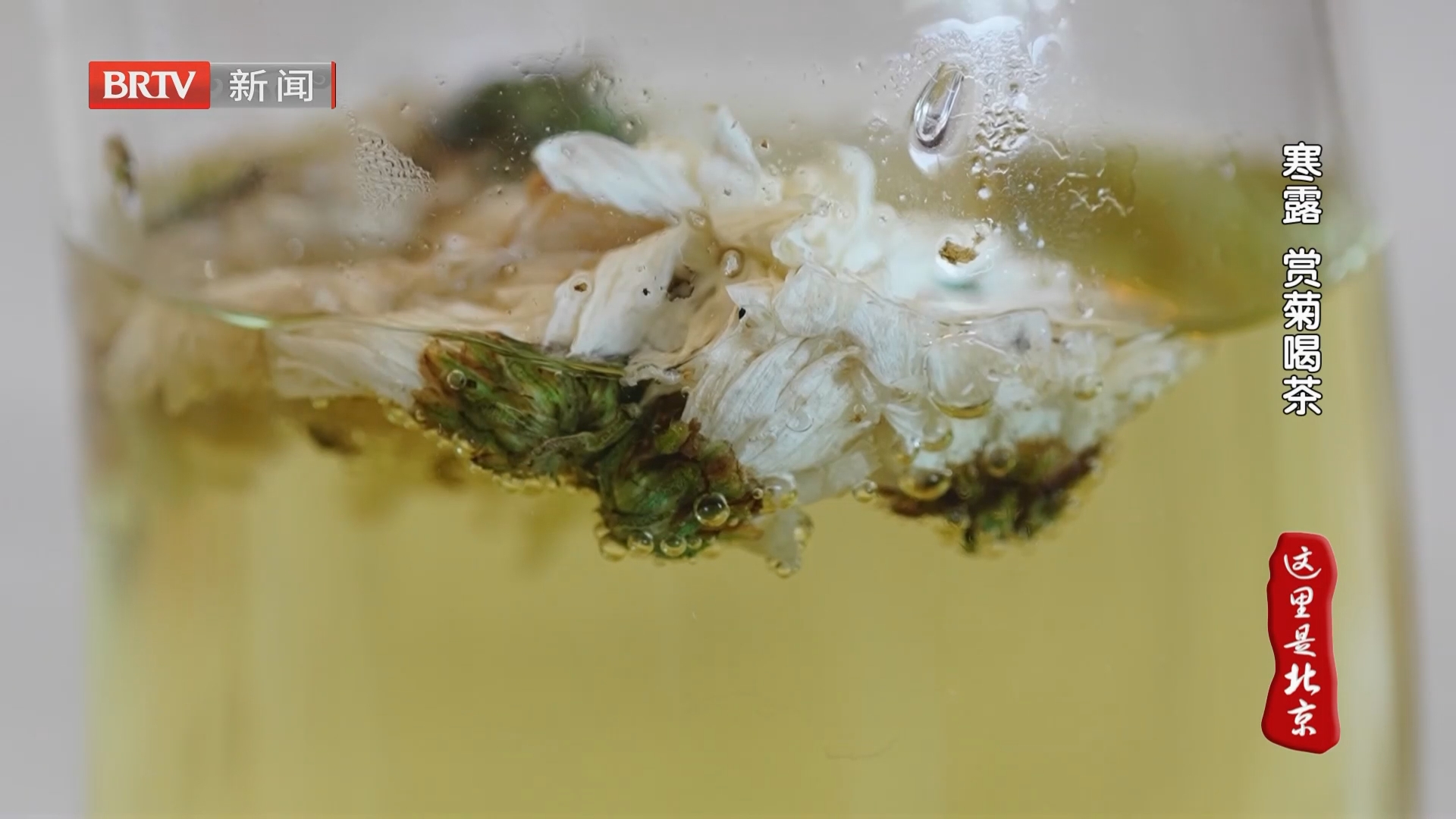 寒露 赏菊喝茶
