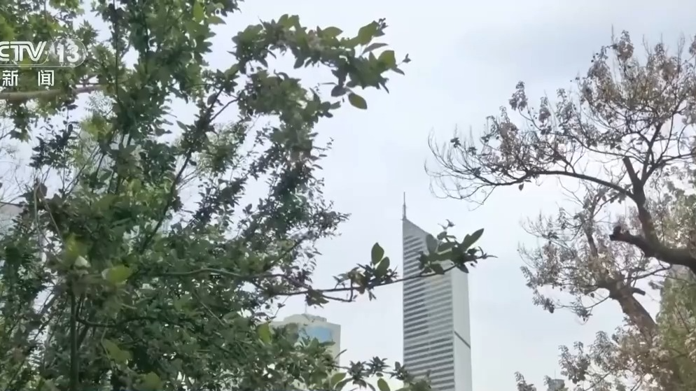 5月高温是“常规操作”吗?解读近期气温特点 5月高温是“常规操作”吗?解读近期气温特点