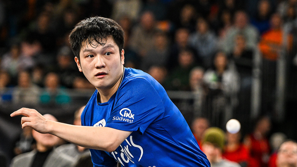 樊振东将在本赛季结束后离开萨尔布吕肯乒乓球俱乐部