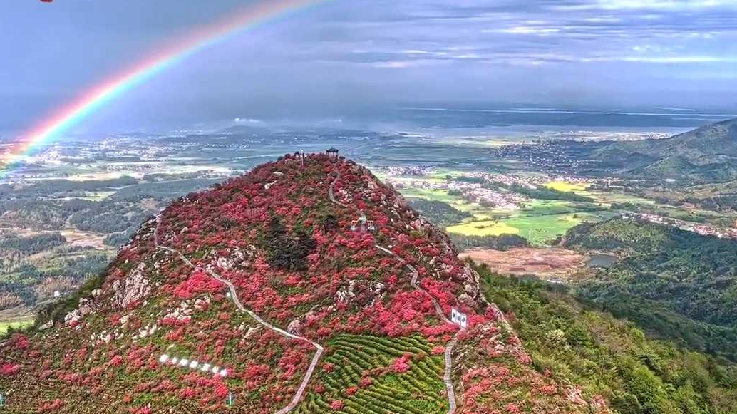 好运加倍!三公山杜鹃花海映彩虹 好运加倍!三公山杜鹃花海映彩虹