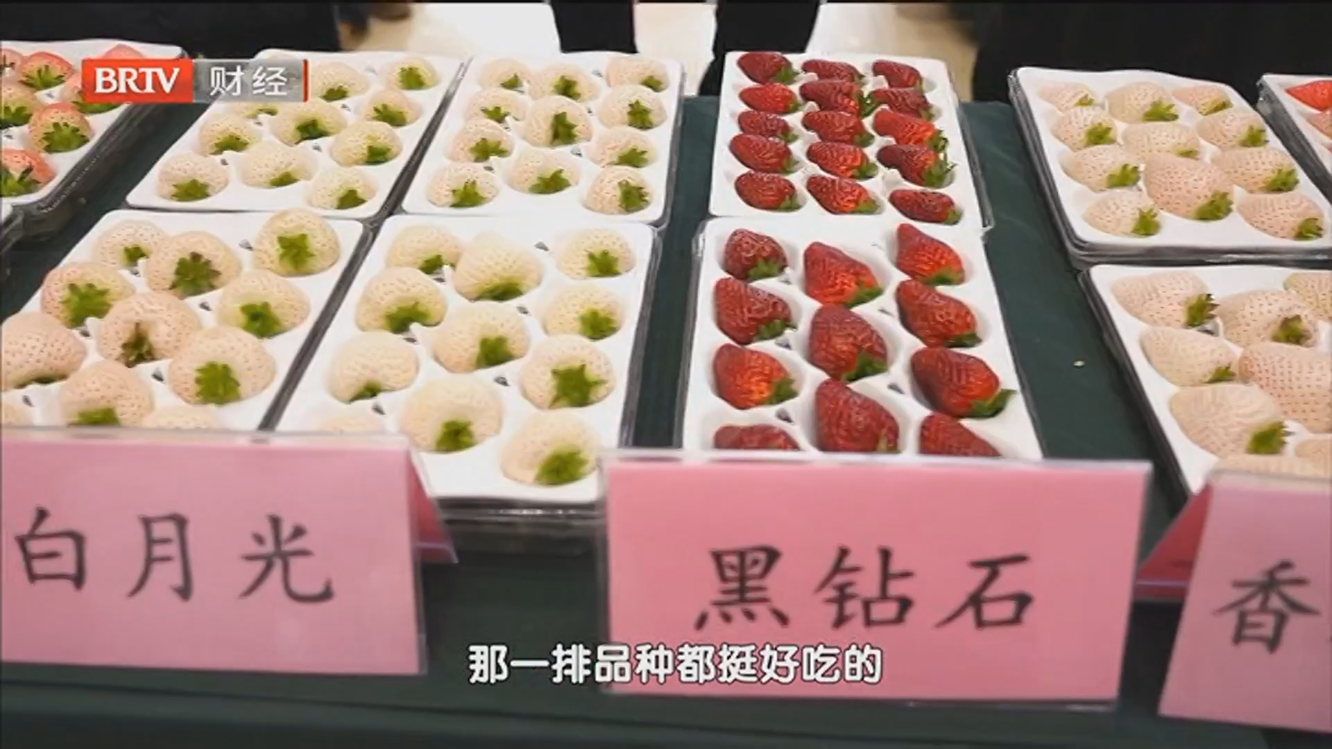 《首都经济报道》20260211点亮京津冀文旅新春消费 星光·燕赵号承德线路启程