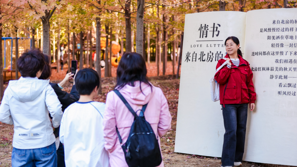 红枫林里有一个“博士林场”
