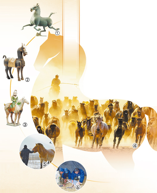 文物中的这些马形象,你听说过吗? 文物中的这些马形象,你听说过吗?