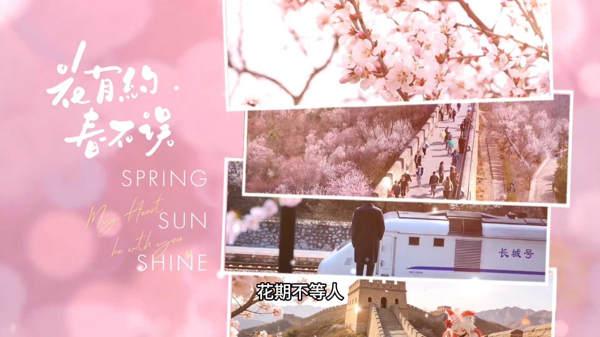 长城脚下的双倍浪漫 清明假期的赏花天花板来了！