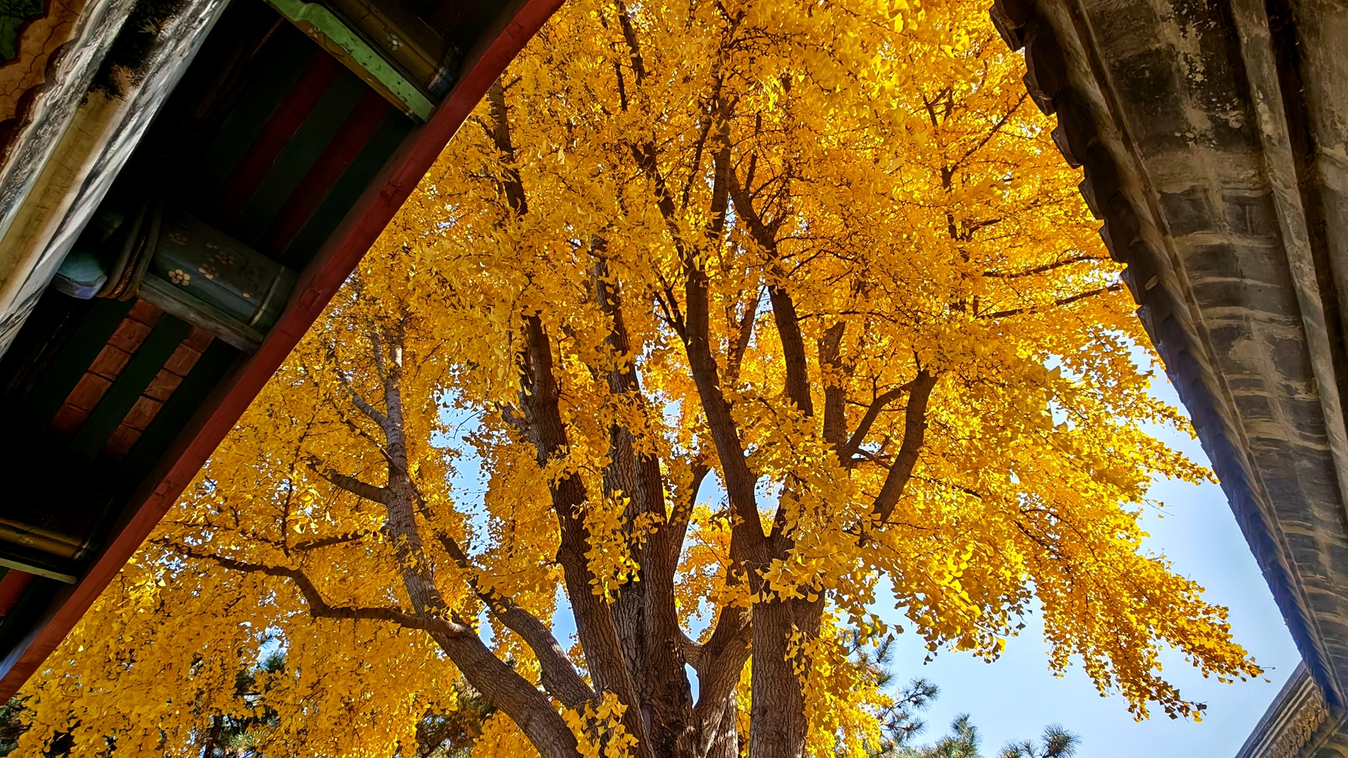 台媒:沈伯洋内心已经相当恐惧 台媒:沈伯洋内心已经相当恐惧