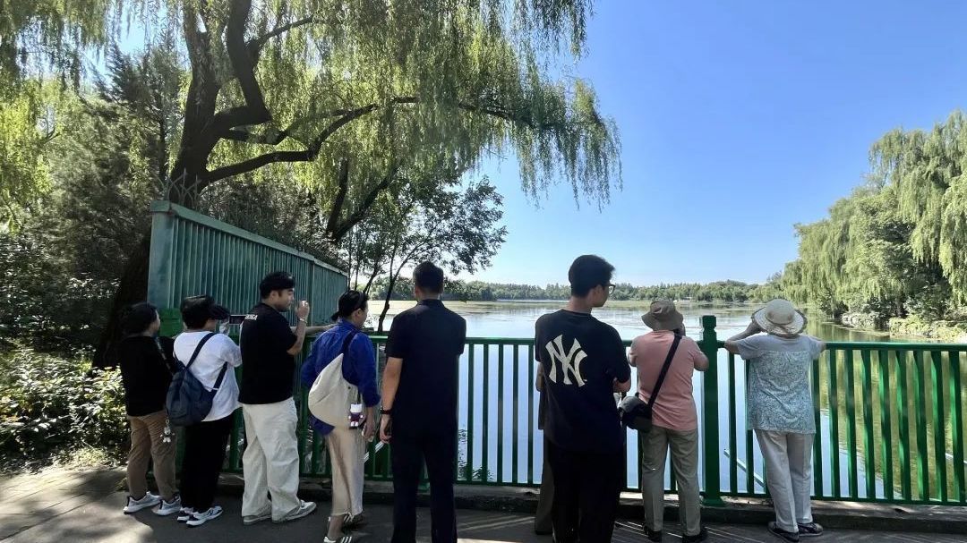 颐和园的新围栏“降个儿了”，火了！网友直呼“太好拍了”