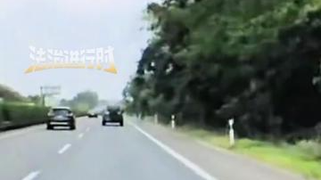 高速行驶遇大树倒下 车主撞了上去 万幸检查之后人都平安无事 高速行驶遇大树倒下 车主撞了上去 万幸检查之后人都平安无事