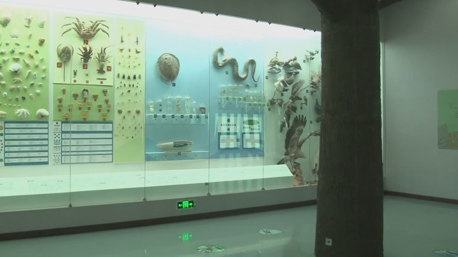 国家自然博物馆新馆已动工建设 2029年试运营