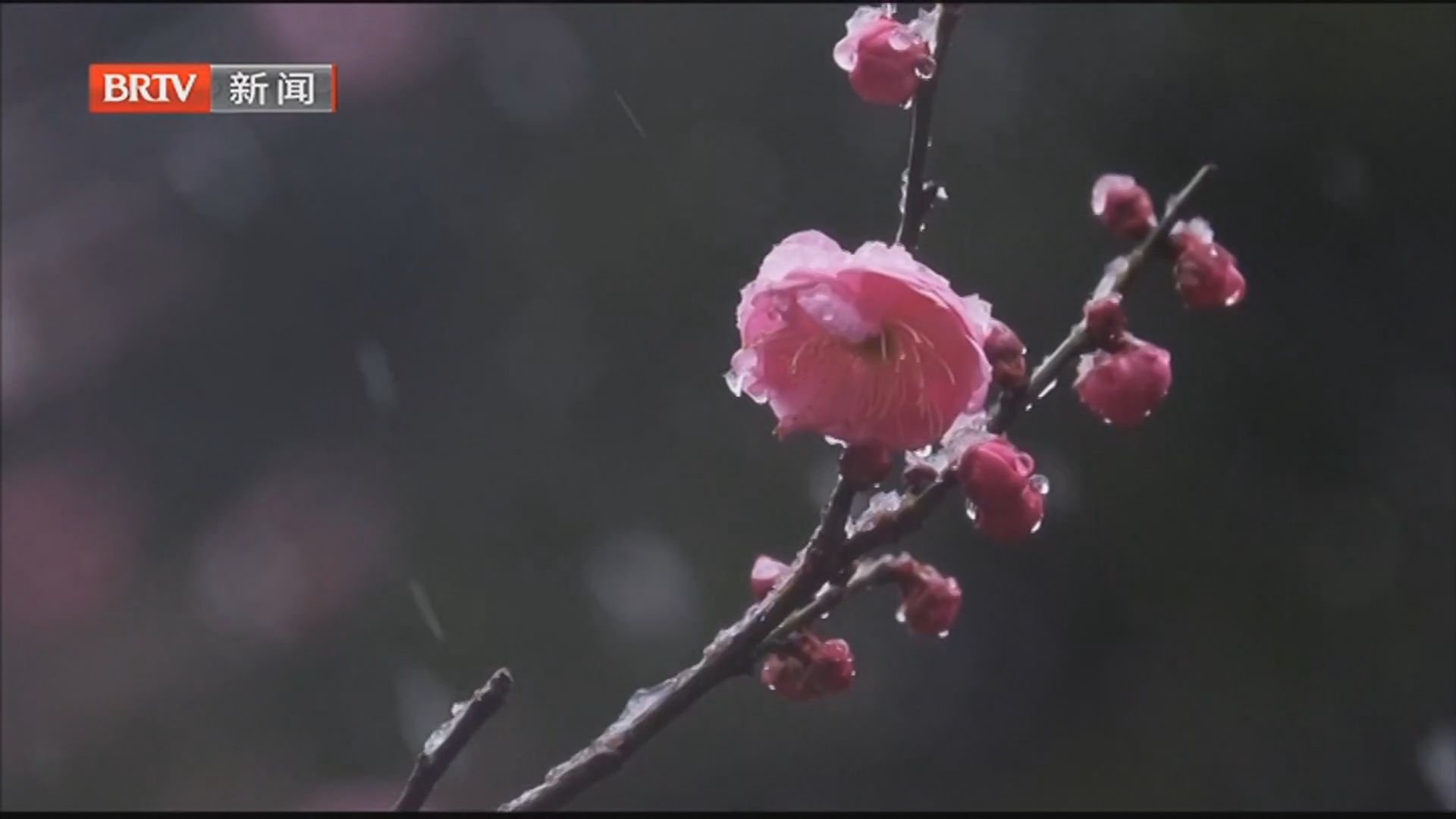 湖北荆门 雪落象山 文化生辉