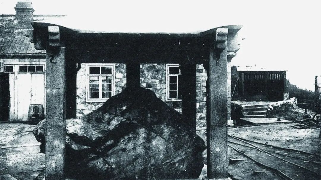 “属于中国的国宝，我们就要带它回家！”