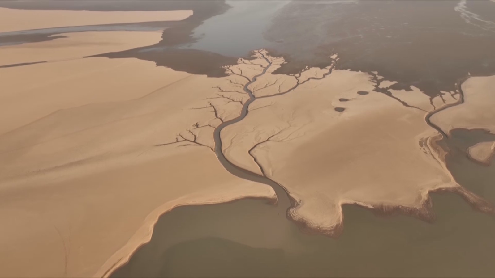 鄱阳湖进入极枯水期 湖内再现“大地之树”景观
