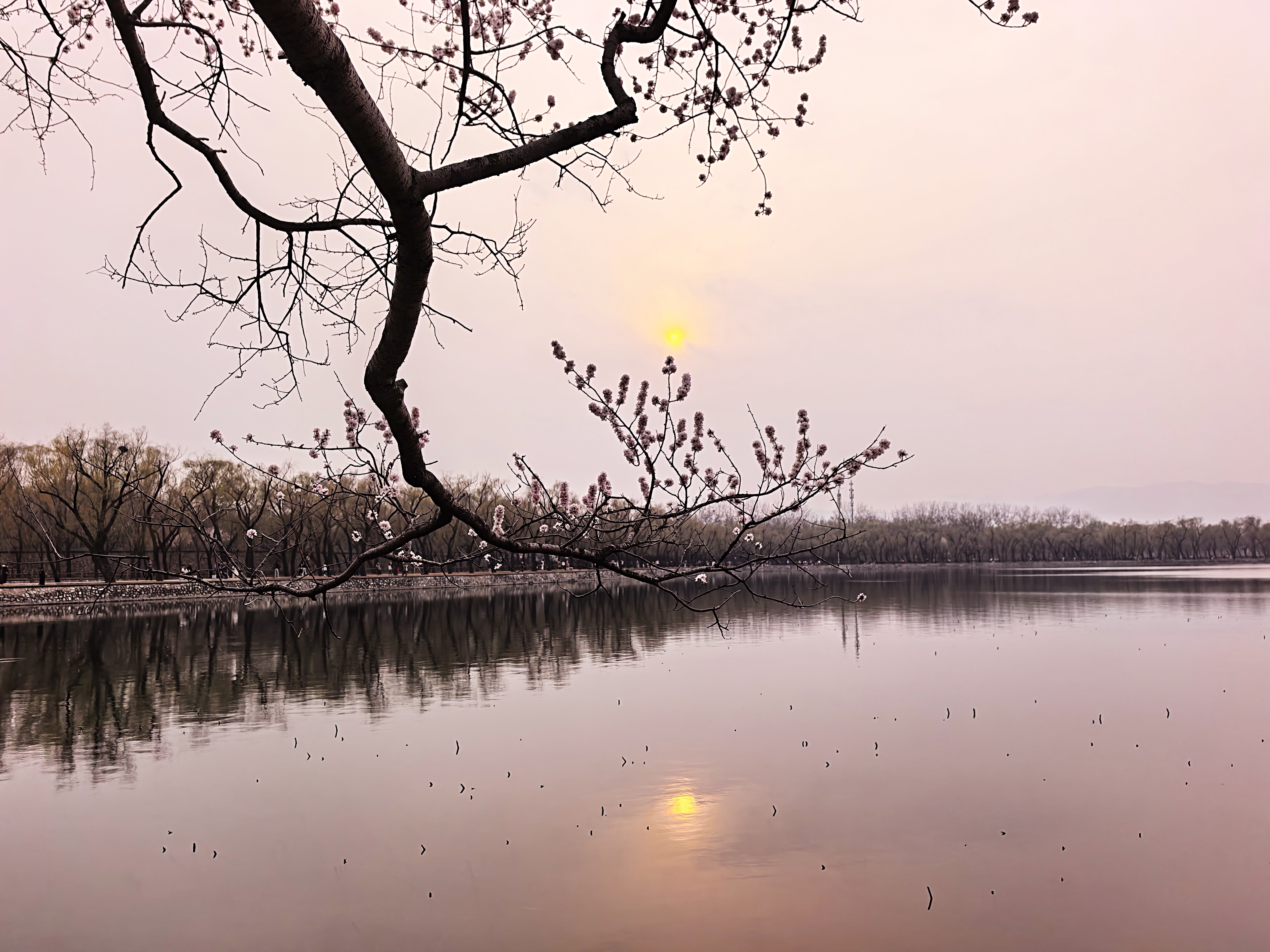 今日,北京暖橙夕阳漫过天际_北京时间