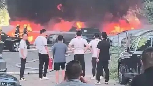 74岁老人嫌杨絮碍事竟将其点燃，20辆新能源车被烧毁！已被采取刑事强制措施