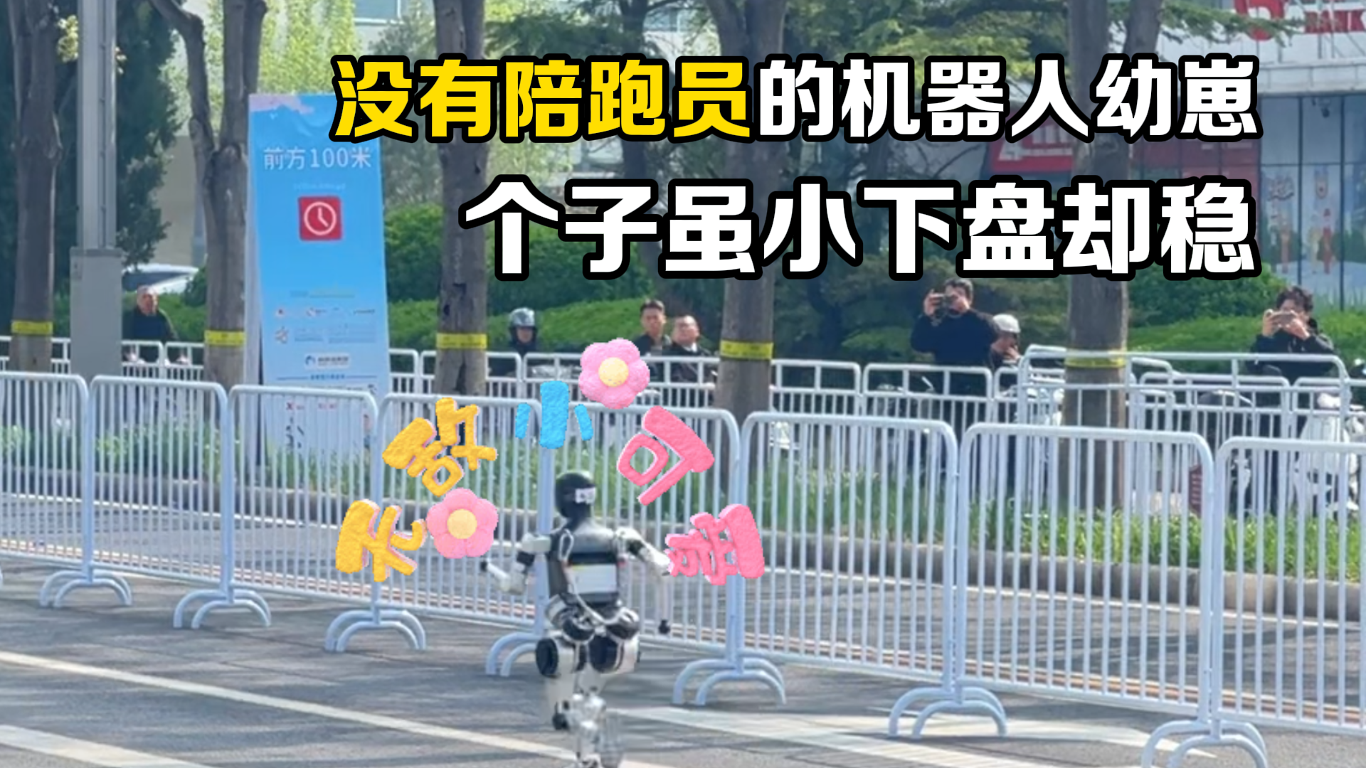 没有陪跑员的机器人幼崽 个子虽小下盘却稳