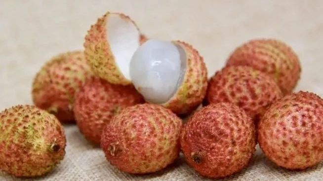 食养课堂|夏天被丢掉的“真金白银”!补脾益肝解暑利尿,太实用了! 食养课堂|夏天被丢掉的“真金白银”!补脾益肝解暑利尿,太实用了!