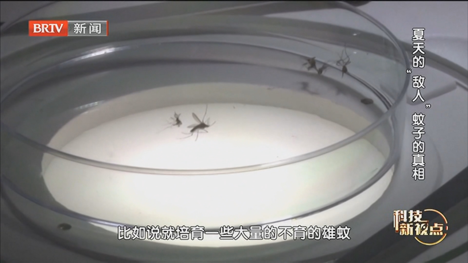 《科技新视点》20260630夏天的“敌人”蚊子的真相