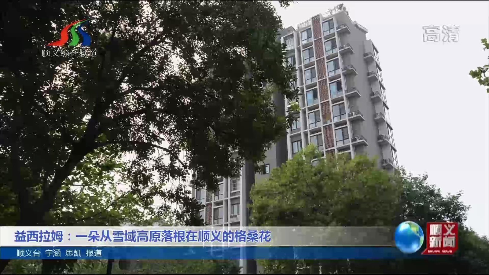益西拉姆：一朵从雪域高原落根在顺义的格桑花