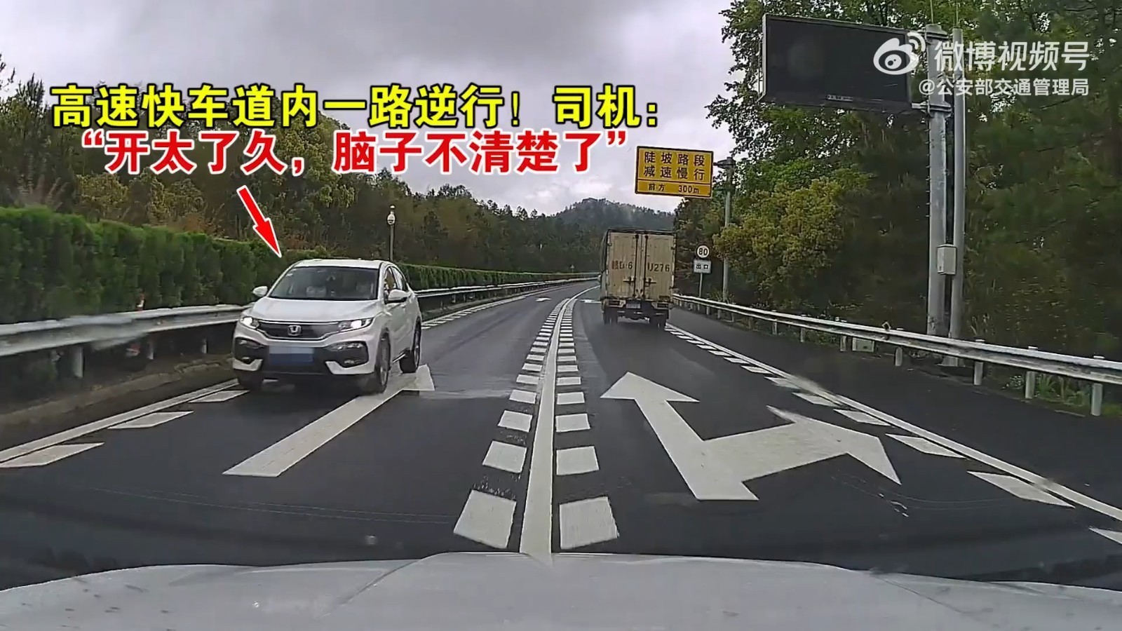 高速快车道内一路逆行!司机:“开太久了,脑子不清楚了” 高速快车道内一路逆行!司机:“开太久了,脑子不清楚了”