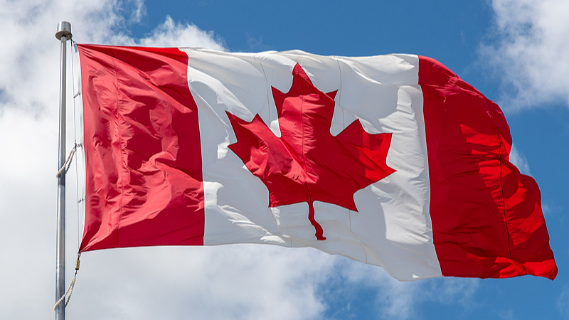 加拿大正式加入“欧洲安全行动”计划