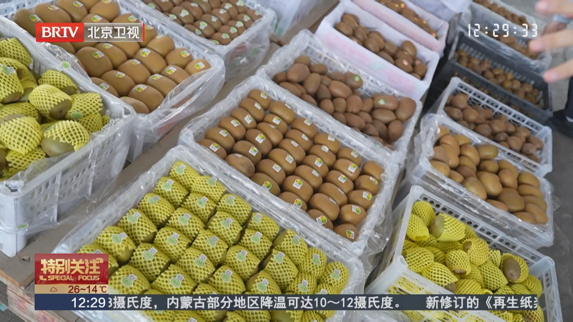 菜篮子探访：大漠蟠枣价格跳水 猕猴桃选购储存有讲究