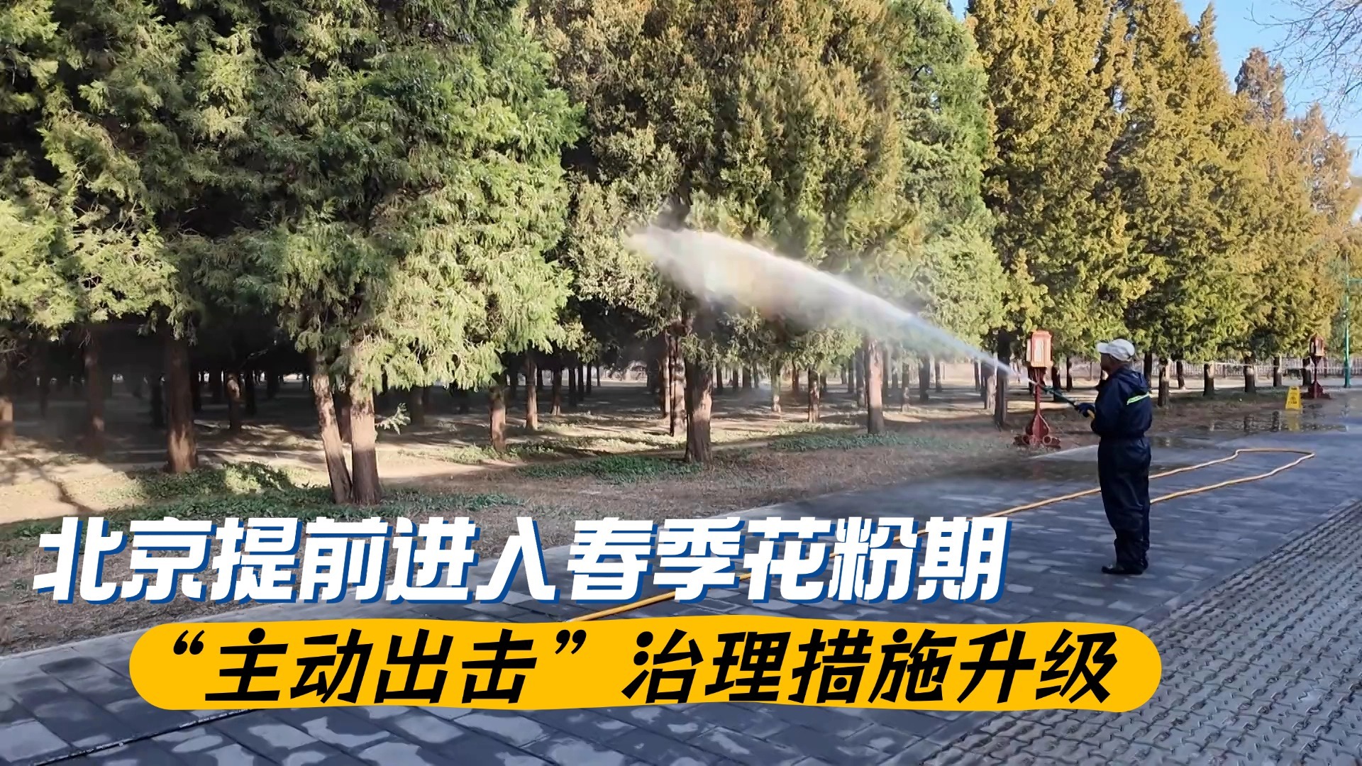 北京提前进入春季花粉期 “主动出击”治理措施升级