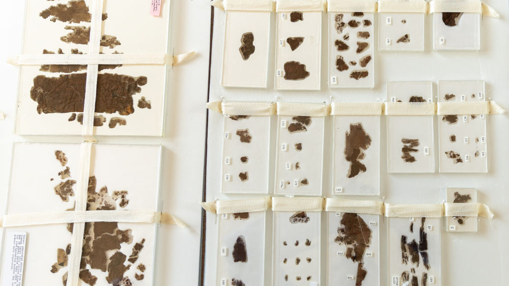 《五行令》《攻守占》,2个月后国博见 《五行令》《攻守占》,2个月后国博见