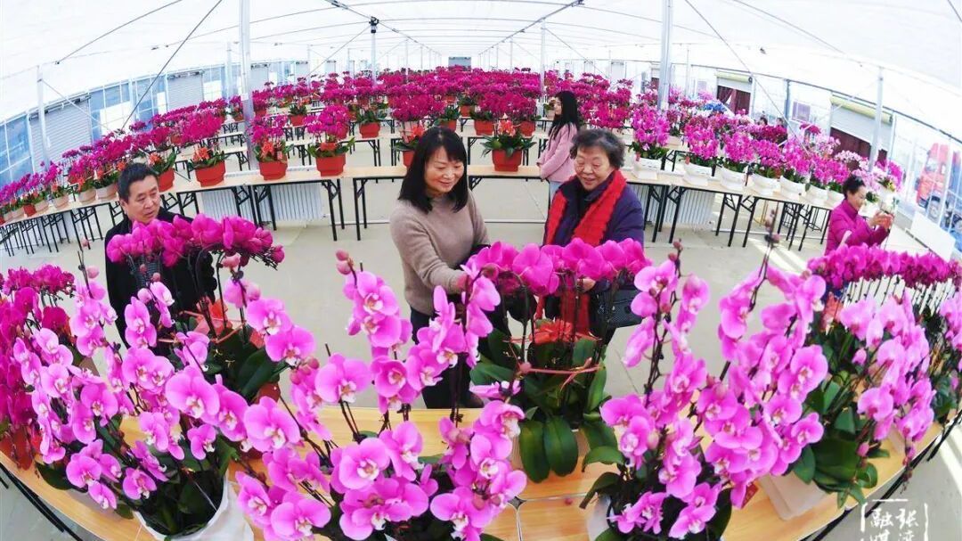 厉害了!十堰这个京堰对口协作项目签下13个大单 厉害了!十堰这个京堰对口协作项目签下13个大单