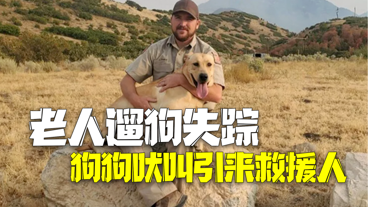 美国80岁老人遛狗在山谷中迷路 狗狗不住吠叫引来救援人员