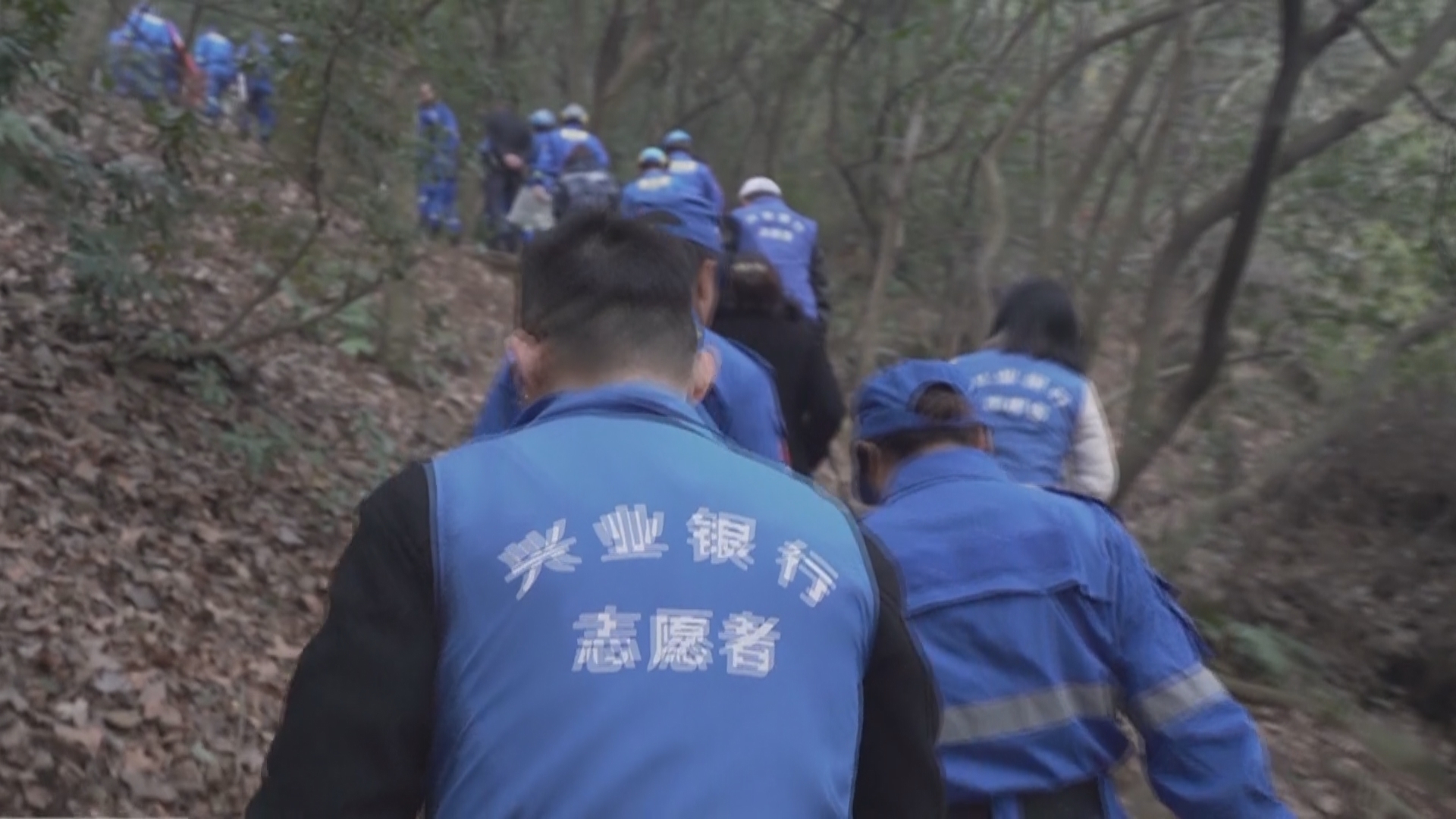 女子攀登惠山野路摔伤 蓝天救援队紧急救援