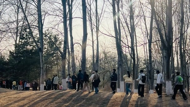 乐享行动派｜寻找古诗里的春天 奥森“画马”保姆级教程来了