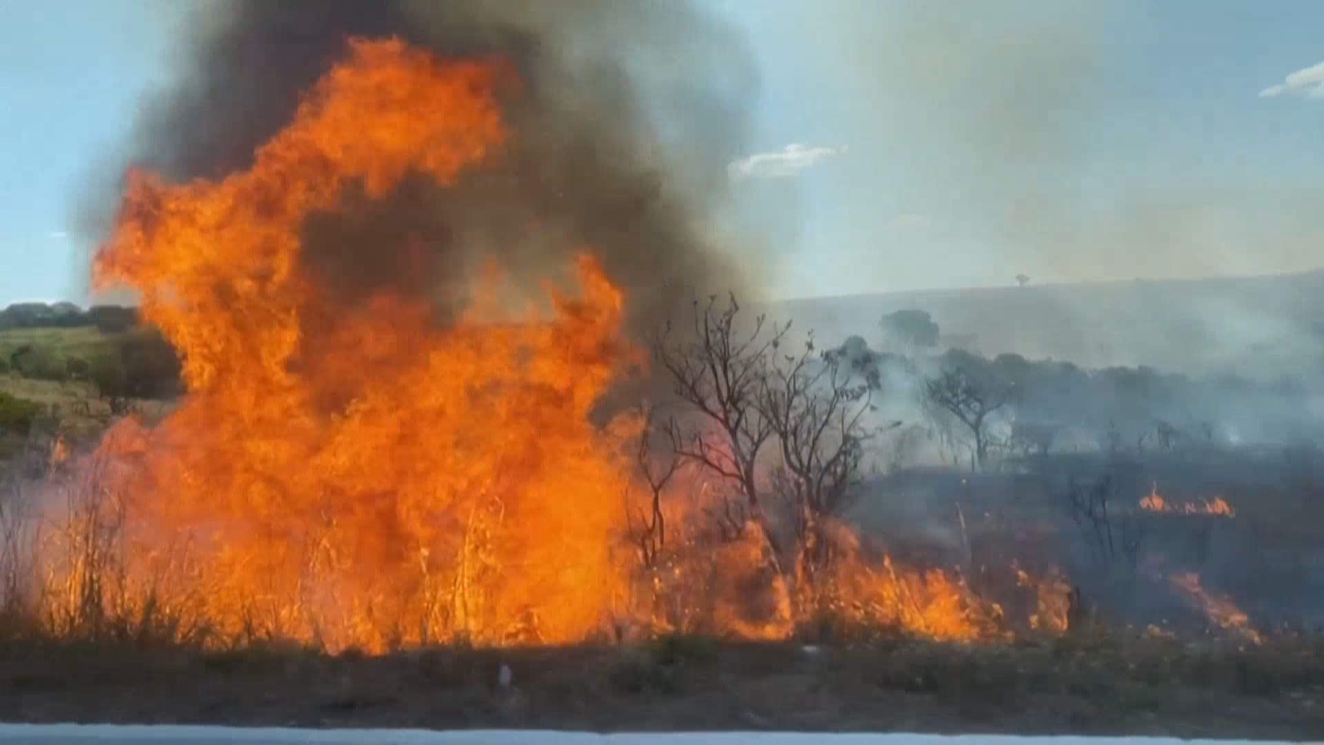 巴西今年野火过火面积已超1100万公顷 巴西今年野火过火面积已超1100万公顷