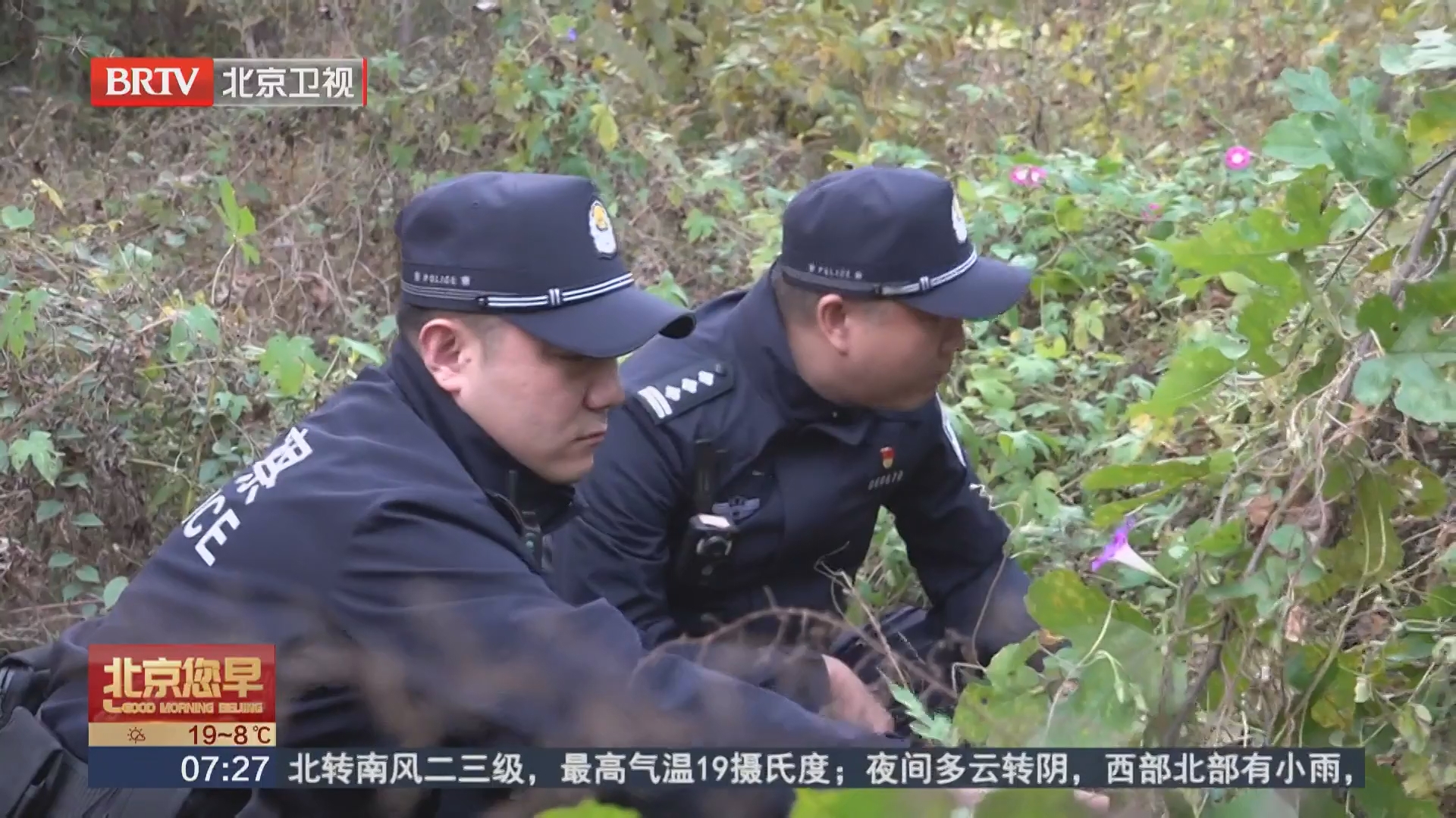 护航候鸟迁徙!7月以来北京警方侦破涉鸟类违法犯罪36起 护航候鸟迁徙!7月以来北京警方侦破涉鸟类违法犯罪36起
