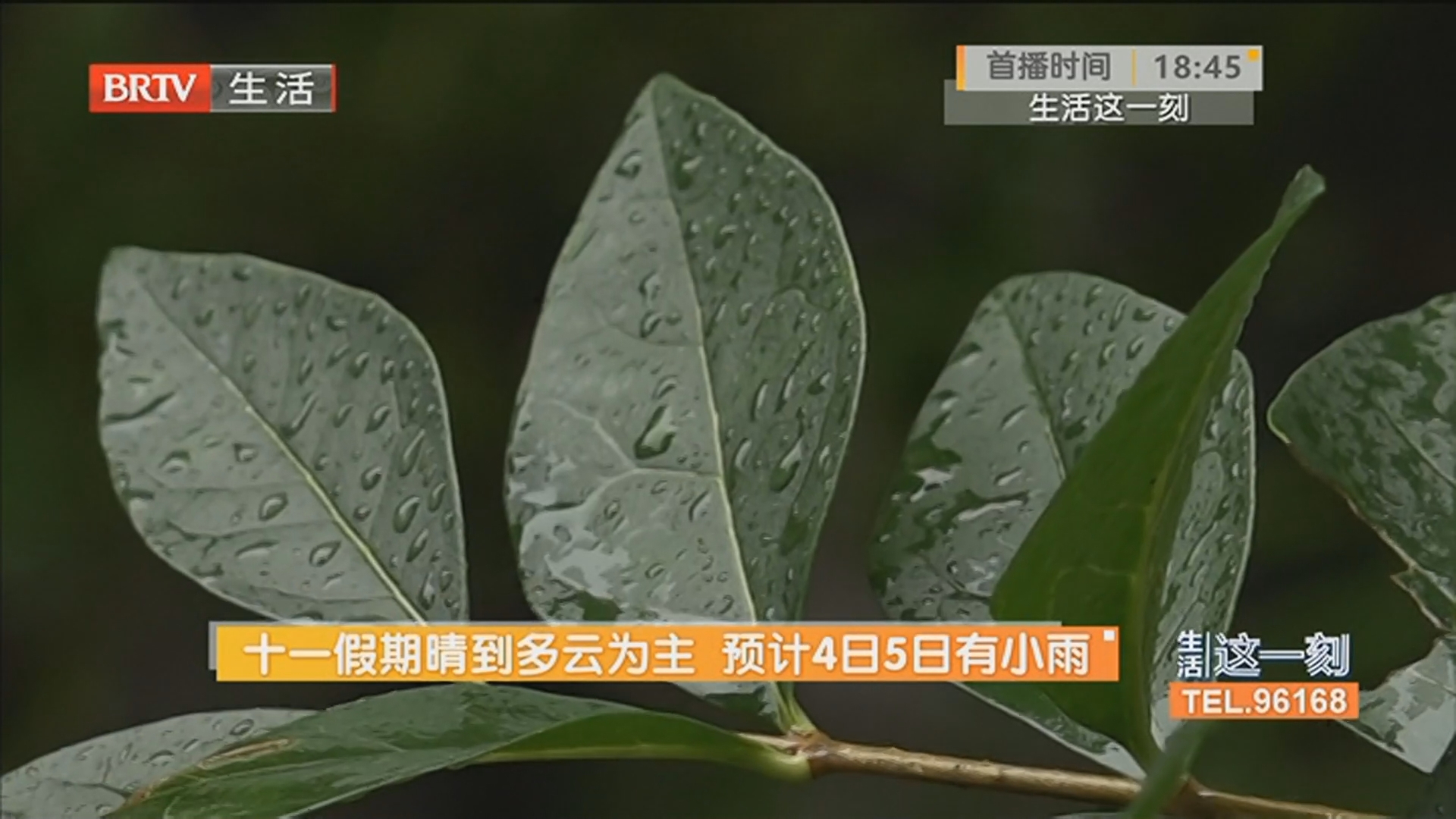 十一假期晴到多云为主 预计4日5日有小雨